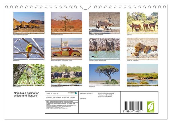 Produktbild: Namibia, Faszination W&uuml;ste und Tierwelt (Wandkalender 2026 DIN A4 quer), CALVENDO Monatskalender
