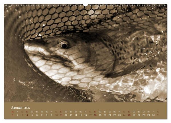 Produktbild: Fliegenfischen (Wandkalender 2026 DIN A2 quer), CALVENDO Monatskalender