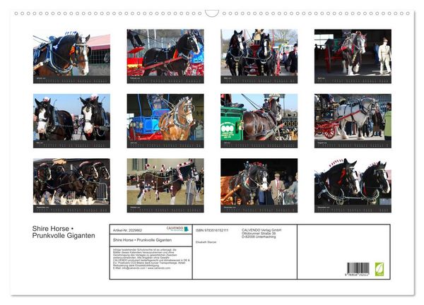 Produktbild: Shire Horse &bull; Prunkvolle Giganten (Wandkalender 2026 DIN A2 quer), CALVENDO Monatskalender