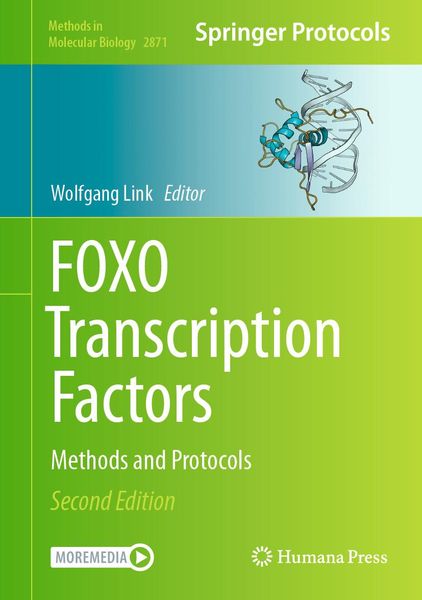 Produktbild: FOXO Transcription Factors