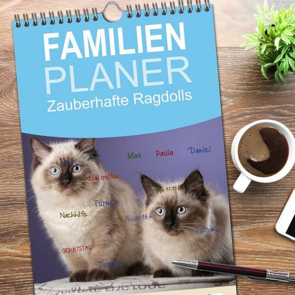 Produktbild: Familienplaner 2026 - Zauberhafte Ragdolls mit 5 Spalten (Wandkalender, 21 x 45 cm) CALVENDO