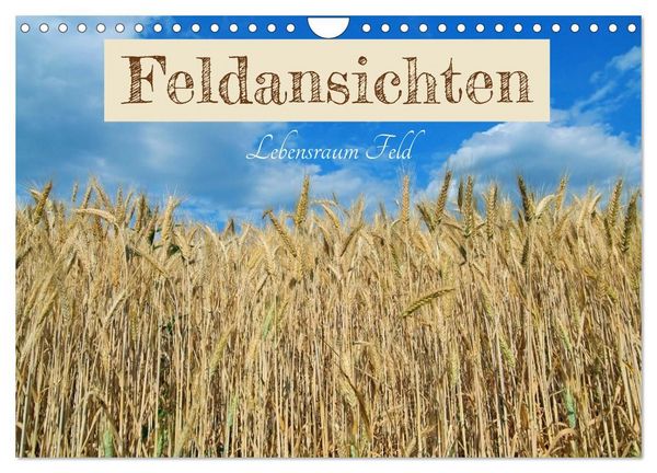 Produktbild: Feldansichten (Wandkalender 2027 DIN A4 quer), CALVENDO Monatskalender