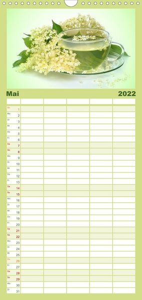 Produktbild: Familienplaner Arzneipflanzen (Wandkalender 2022 , 21 cm x 45 cm, hoch)
