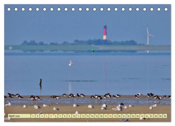 Produktbild: Sonne, Sand und Meer. Farben der K&uuml;ste (Tischkalender 2026 DIN A5 quer), CALVENDO Monatskalender