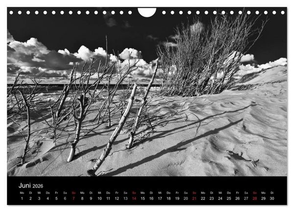 Produktbild: Strandspaziergang an der Ostsee (Wandkalender 2026 DIN A4 quer), CALVENDO Monatskalender