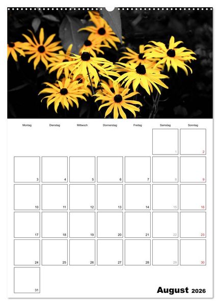 Produktbild: schwarz/wei&szlig; trifft farbe - DEIN TERMINKALENDER / Planer (hochwertiger Premium Wandkalender 2026 DIN A2 hoch), Kunstdruck in Hochglanz