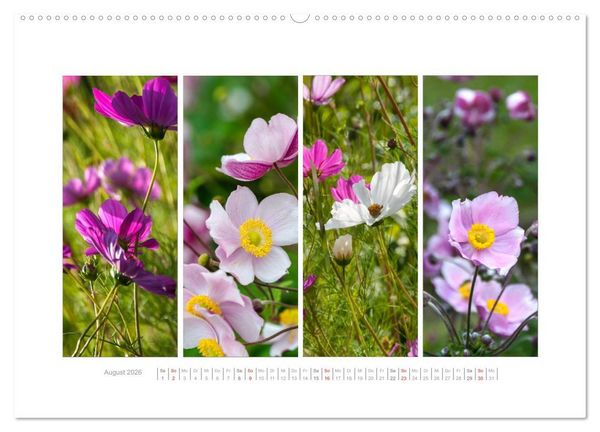 Produktbild: Gartenfreude (Wandkalender 2026 DIN A2 quer), CALVENDO Monatskalender