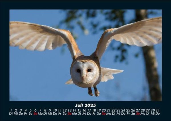 Produktbild: Welt der V&ouml;gel 2025 Fotokalender DIN A5