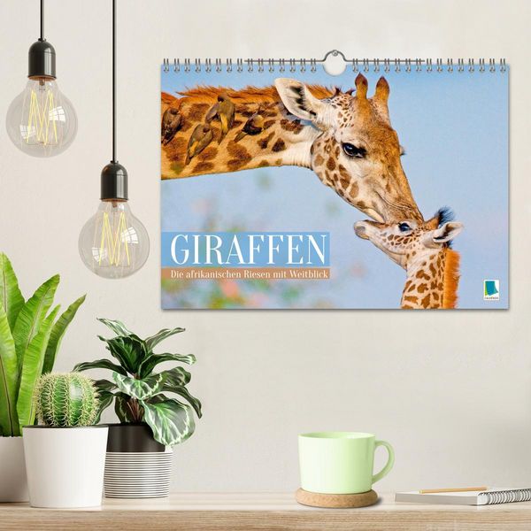 Produktbild: Giraffen: Die afrikanischen Riesen mit Weitblick (Wandkalender 2026 DIN A4 quer), CALVENDO Monatskalender