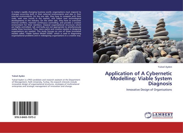 Produktbild: Application of A Cybernetic Modelling: Viable System Diagnosis