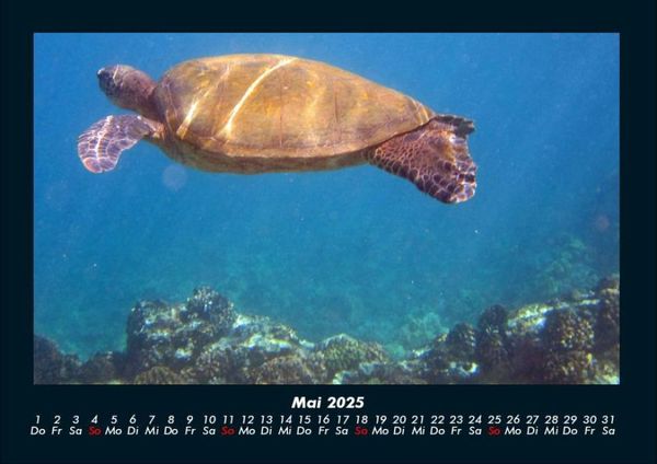 Produktbild: Meereslandschaften 2025 Fotokalender DIN A4