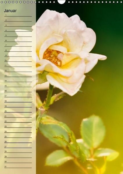 Produktbild: Immerw&auml;hrender Geburtstagskalender - Bl&uuml;tentr&auml;ume (Wandkalender immerw&auml;hrend DIN A3 hoch)