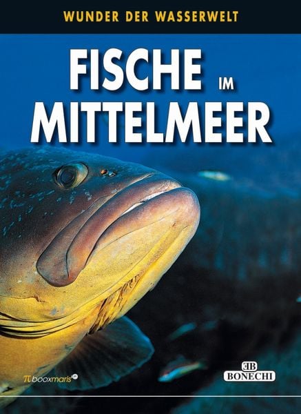 Produktbild: Fische im Mittelmeer
