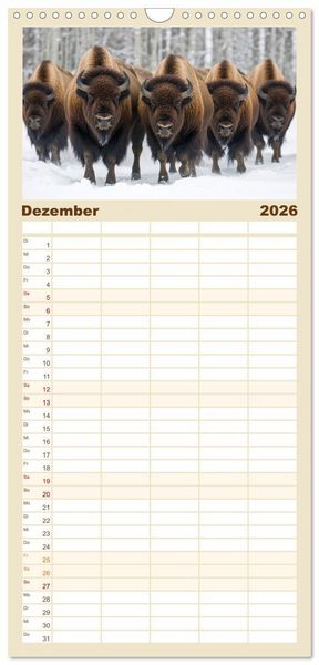 Produktbild: Familienplaner 2026 - B&uuml;ffel - Ikonen der Wildnis mit 5 Spalten (Wandkalender, 21 x 45 cm) CALVENDO