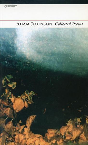 Produktbild: Adam Johnson Collected Poems