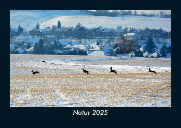 Natur 2025 Fotokalender DIN A5