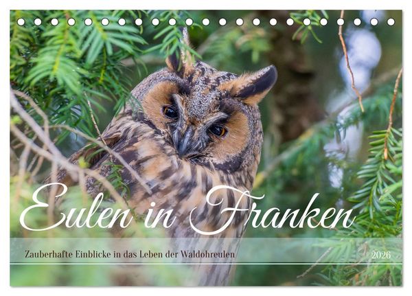 Produktbild: Eulen in Franken (Tischkalender 2026 DIN A5 quer), CALVENDO Monatskalender