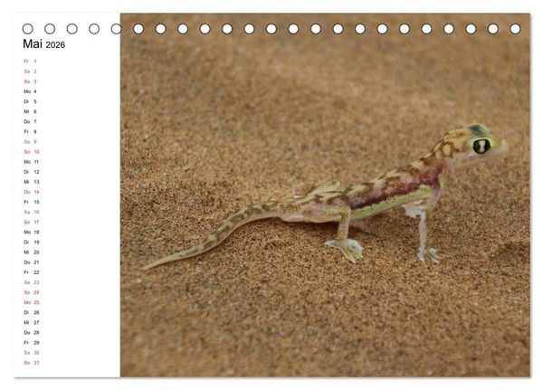 Produktbild: Namibia - Tierische Vielfalt (Planer) (Tischkalender 2026 DIN A5 quer), CALVENDO Monatskalender