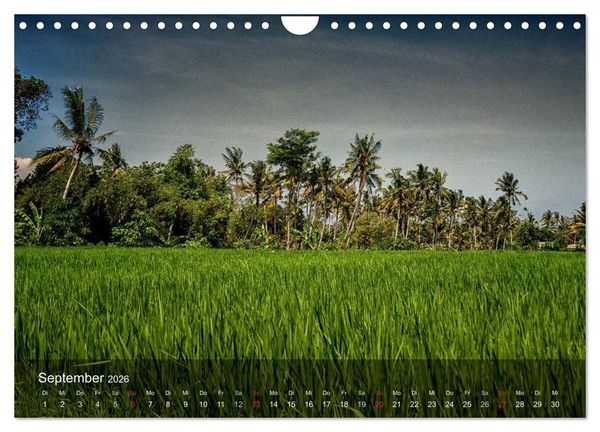 Produktbild: Bali - Insel der Tempel, G&ouml;tter und D&auml;monen (Wandkalender 2026 DIN A4 quer), CALVENDO Monatskalender