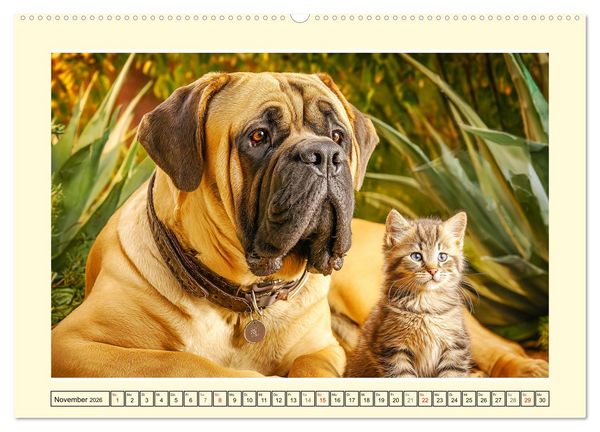 Produktbild: Bullmastiff im Portr&auml;t. Kraftvolle Hunde mit sanftem Wesen (Wandkalender 2026 DIN A2 quer), CALVENDO Monatskalender