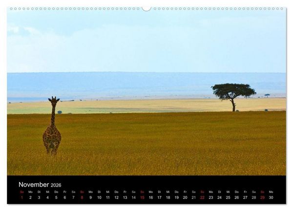 Produktbild: GIRAFFEN - Liebliche Riesen der afrikanischen Savanne (hochwertiger Premium Wandkalender 2026 DIN A2 quer), Kunstdruck in Hochglanz