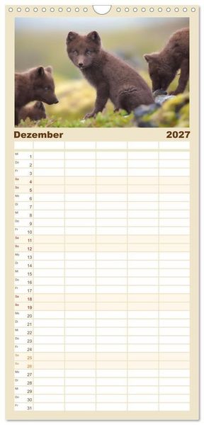 Produktbild: Familienplaner 2027 - Polarfuchs-Welpen mit 5 Spalten (Wandkalender, 21 x 45 cm) CALVENDO