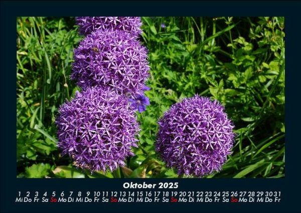 Produktbild: Blumenkalender 2025 Fotokalender DIN A5