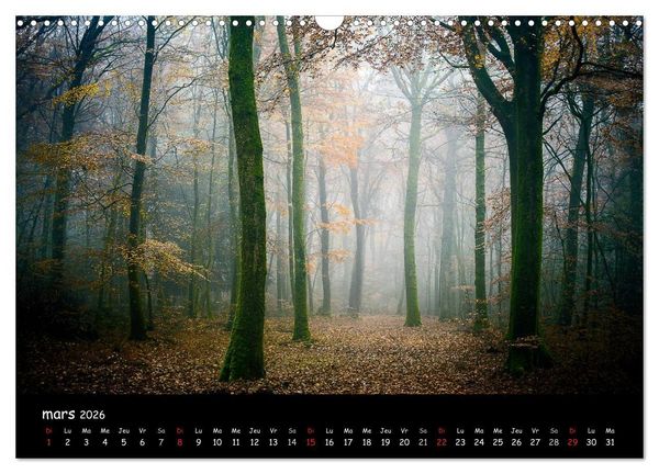 Produktbild: BROCELIANDE, la for&ecirc;t (Calendrier mural 2026 DIN A3 vertical), CALVENDO calendrier mensuel