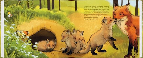 Produktbild: Kleiner Fuchs, bald bist du gro&szlig;!