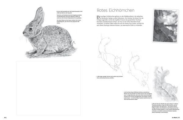 Produktbild: Die Kunst des Zeichnens - Natur &Uuml;bungsbuch