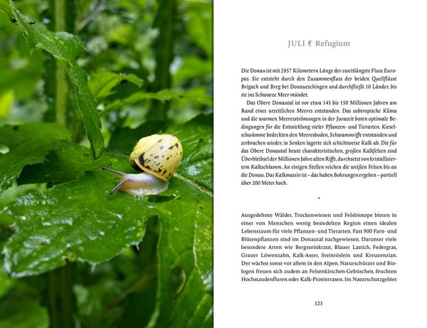 Produktbild: Das Glück wächst im Garten