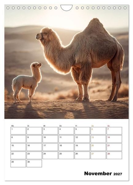 Produktbild: Ein Herz und eine Schnauze - Ein tierisch buntes Miteinander (Wandkalender 2027 DIN A4 hoch), CALVENDO Monatskalender