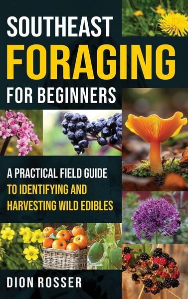Produktbild: Southeast Foraging for Beginners
