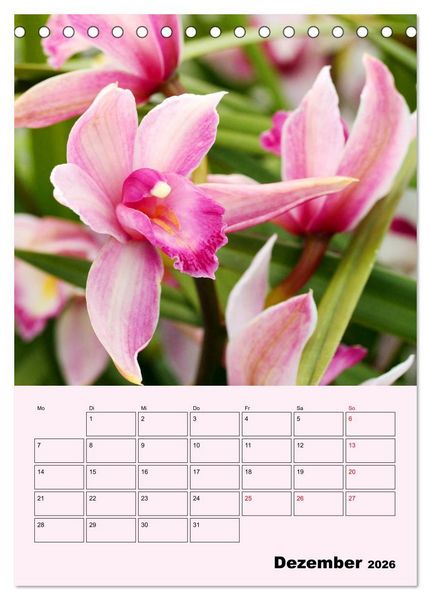 Produktbild: Orchideenliebe (Tischkalender 2026 DIN A5 hoch), CALVENDO Monatskalender