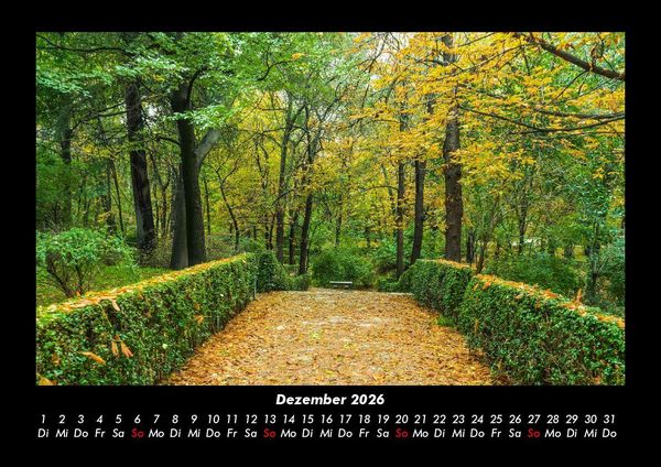 Produktbild: Natur 2026 Fotokalender DIN A3