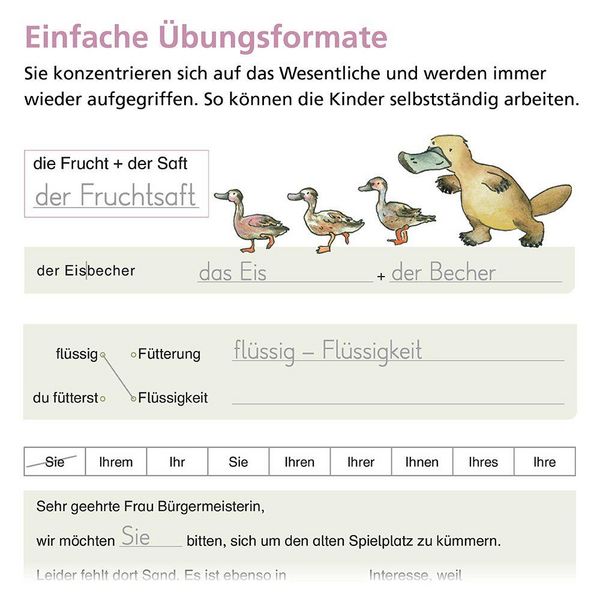 Produktbild: Rechtschreiben mit Rico Schnabel, Klasse 4