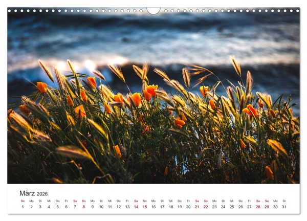 Produktbild: Die magische Welt der Blumen (Wandkalender 2026 DIN A3 quer), CALVENDO Monatskalender
