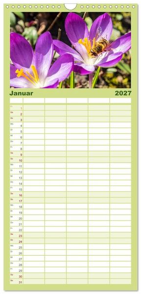 Produktbild: Familienplaner 2027 - INSEKTEN - Makrofotografie in freier Natur mit 5 Spalten (Wandkalender, 21 x 45 cm) CALVENDO