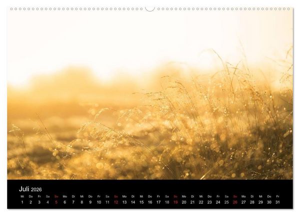 Produktbild: Fan&oslash; - Meine Insel (Wandkalender 2026 DIN A2 quer), CALVENDO Monatskalender
