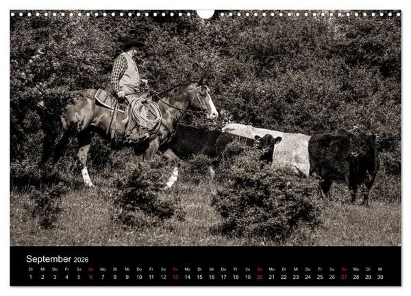 Produktbild: Westernreiten (Wandkalender 2026 DIN A3 quer), CALVENDO Monatskalender