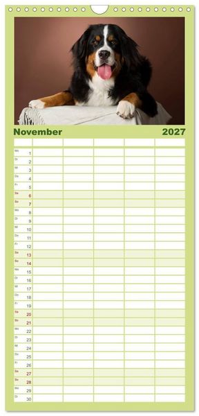 Produktbild: Familienplaner 2027 - Berner Sennenhunde mit 5 Spalten (Wandkalender, 21 x 45 cm) CALVENDO