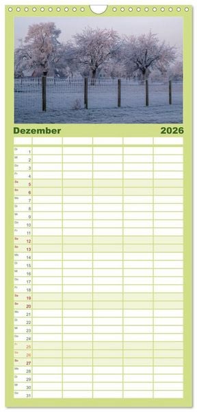 Produktbild: Familienplaner 2026 - Steink&auml;uze (Athene noctua) mit 5 Spalten (Wandkalender, 21 x 45 cm) CALVENDO