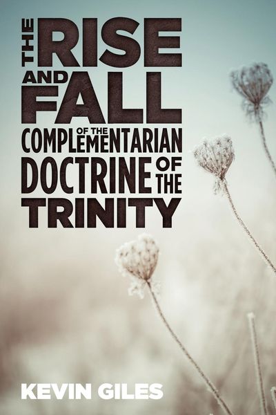 Produktbild: The Rise and Fall of the Complementarian Doctrine of the Trinity