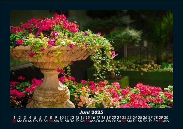 Produktbild: Blumentr&auml;ume 2025 Fotokalender DIN A5