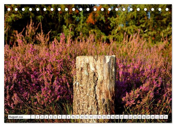 Produktbild: Heidelandschaft im Farbenspiel der Natur (Tischkalender 2026 DIN A5 quer), CALVENDO Monatskalender