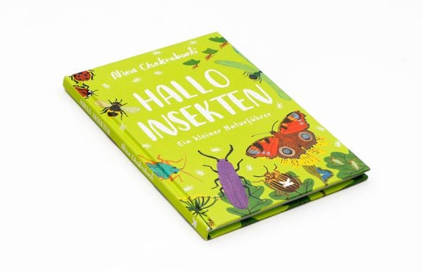 Produktbild: Hallo Insekten