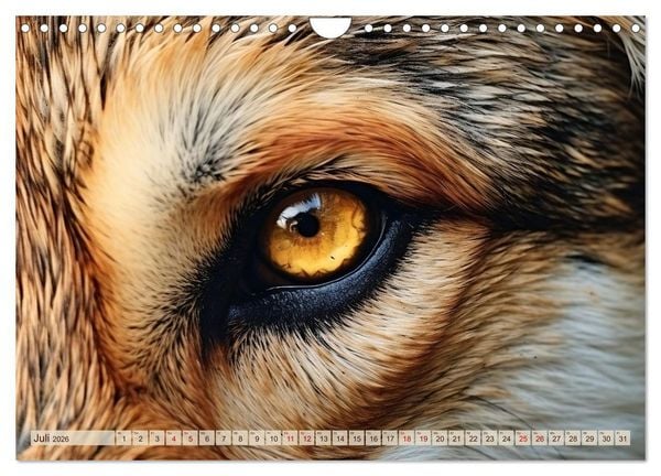 Produktbild: Schau mir ins Auge (Wandkalender 2026 DIN A4 quer), CALVENDO Monatskalender