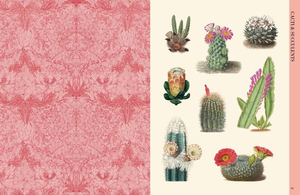 Produktbild: Botanical Art to Cut out and Collage