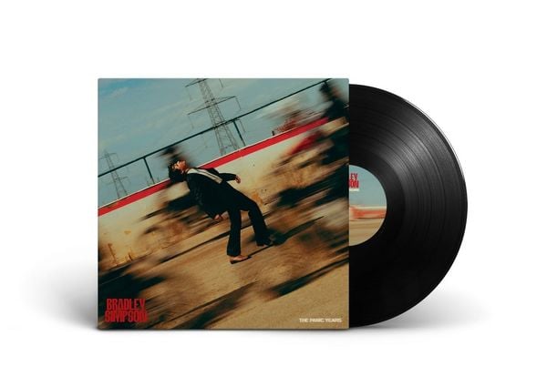 Produktbild: The Panic Years