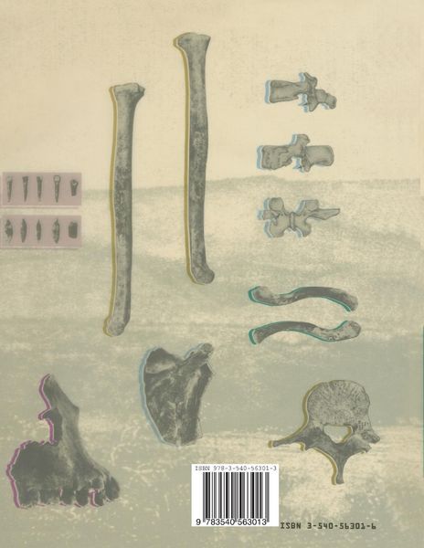 Produktbild: The Nariokotome Homo Erectus Skeleton